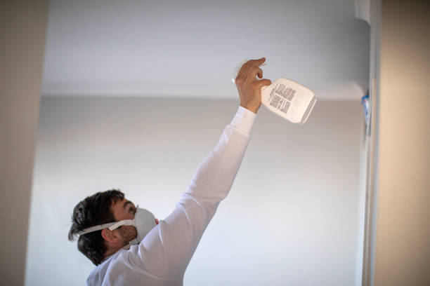 Best Home Mold Removal  in Bridgetown, MS